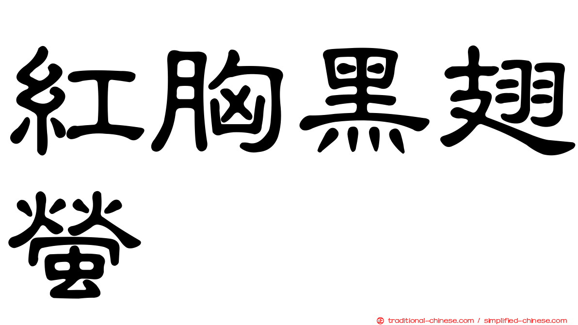 紅胸黑翅螢