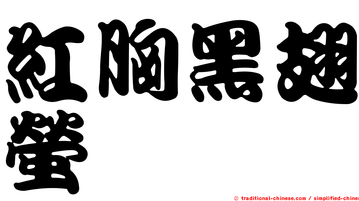 紅胸黑翅螢