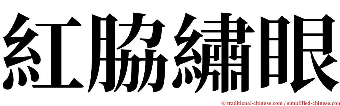 紅脇繡眼 serif font
