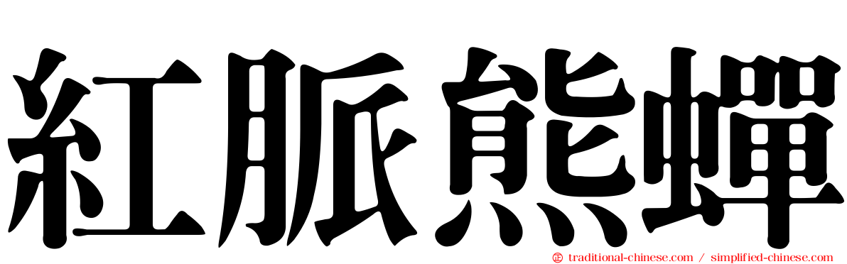 紅脈熊蟬