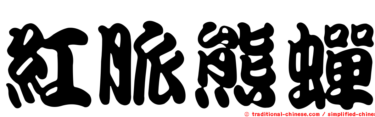 紅脈熊蟬
