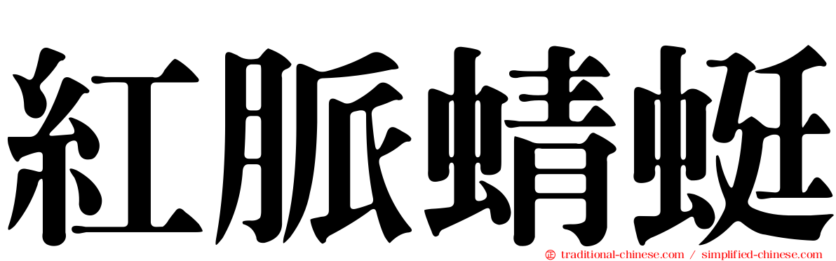 紅脈蜻蜓