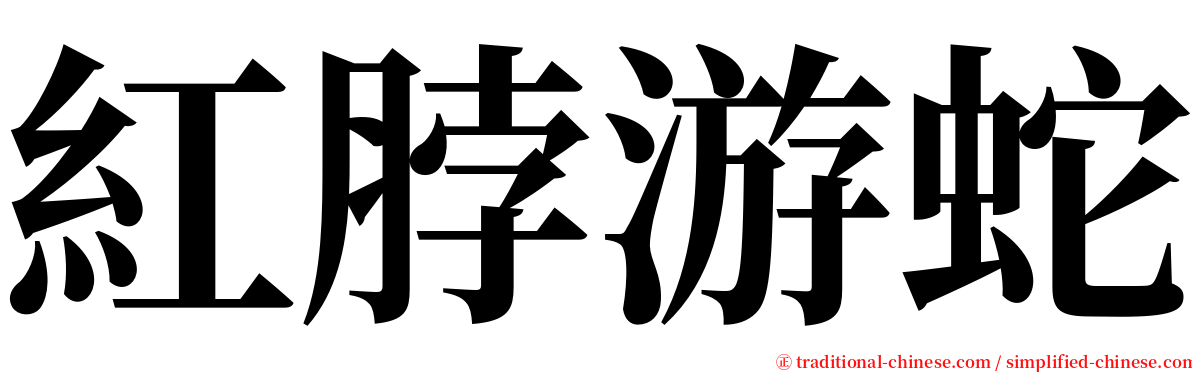 紅脖游蛇 serif font