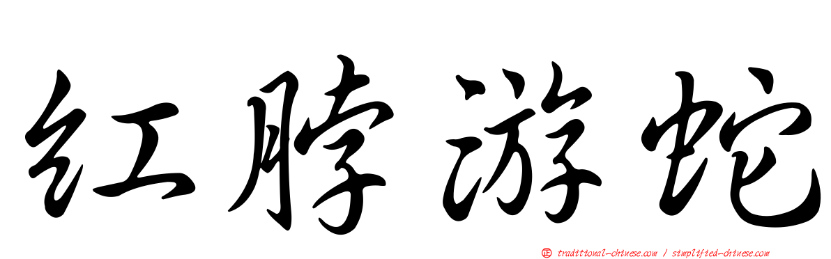 紅脖游蛇