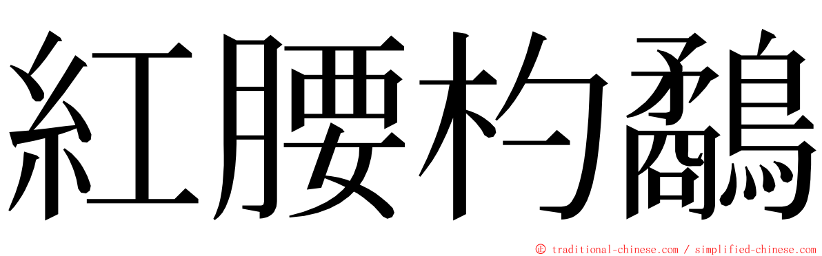 紅腰杓鷸 ming font