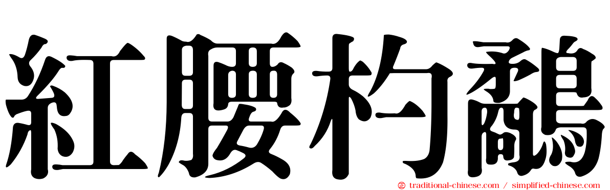 紅腰杓鷸
