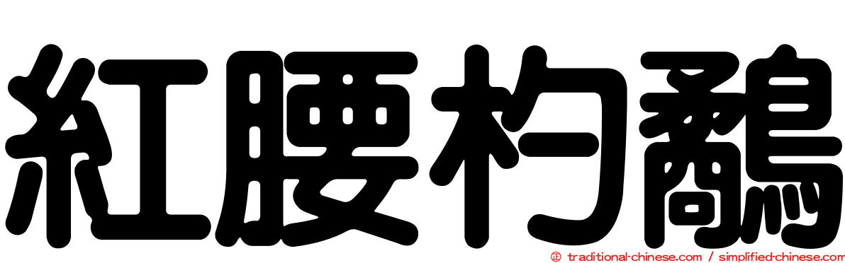 紅腰杓鷸