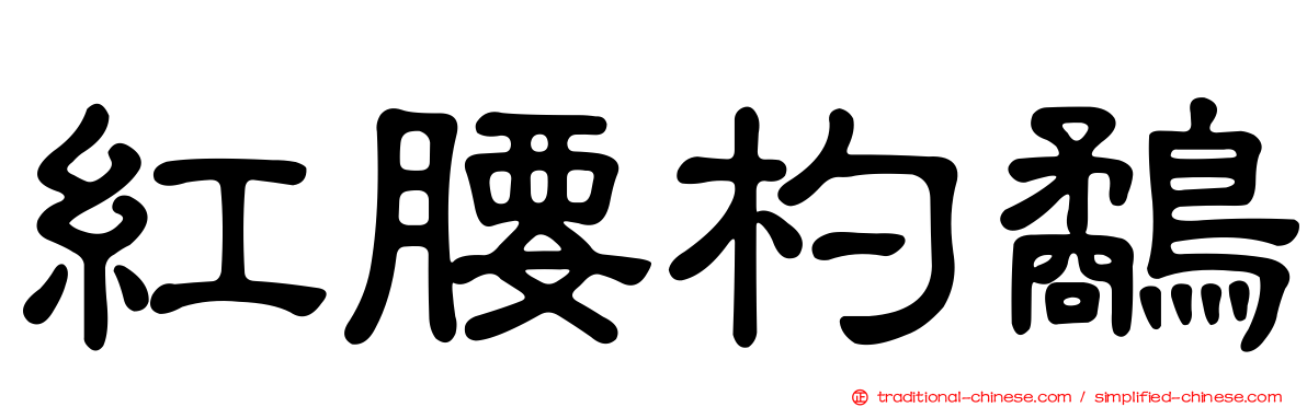紅腰杓鷸