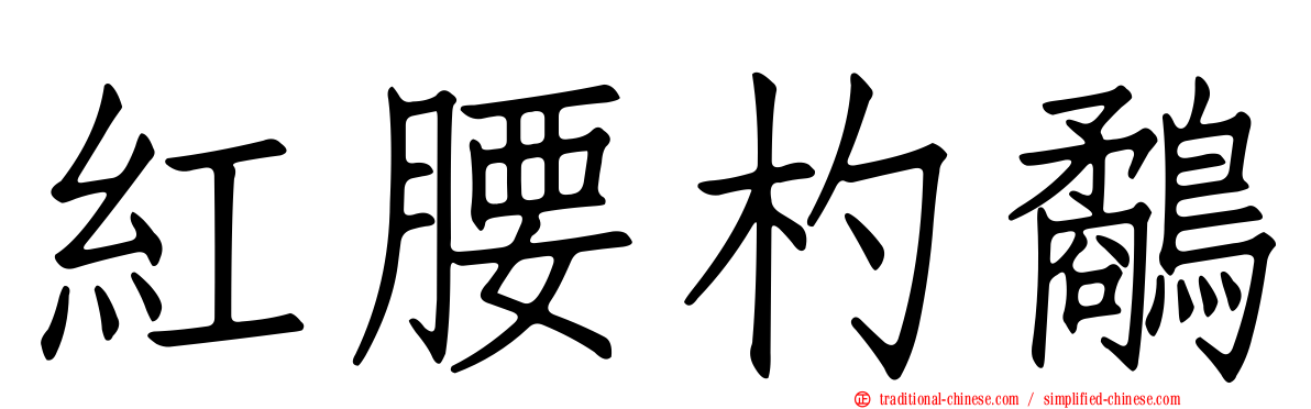 紅腰杓鷸