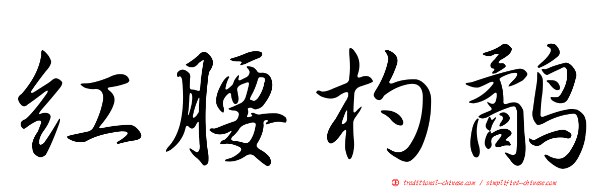 紅腰杓鷸