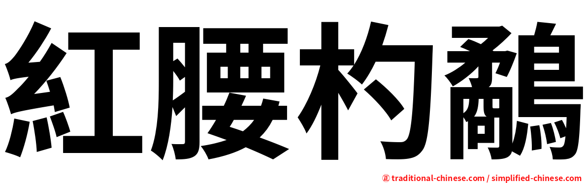 紅腰杓鷸