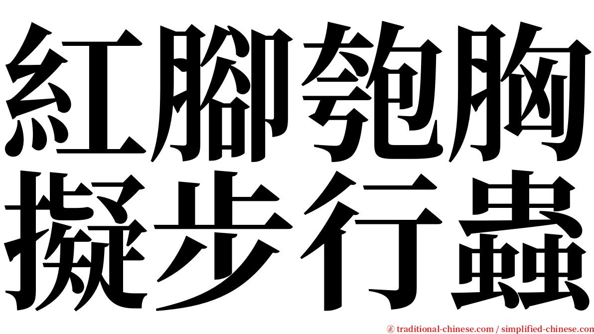 紅腳匏胸擬步行蟲 serif font
