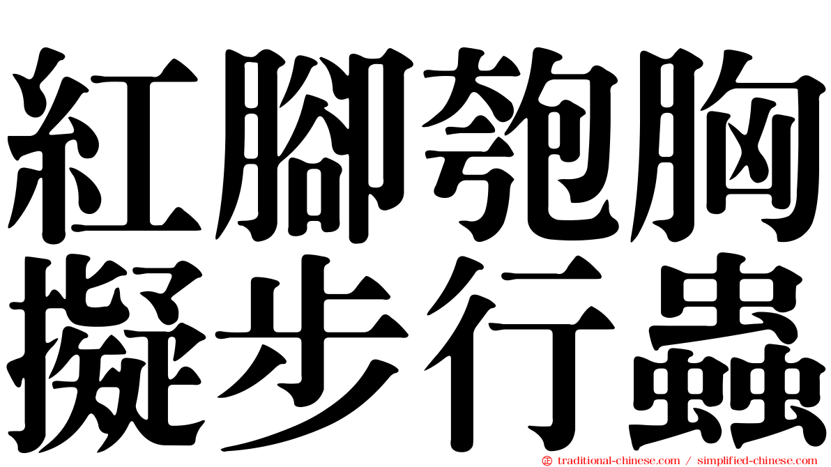 紅腳匏胸擬步行蟲