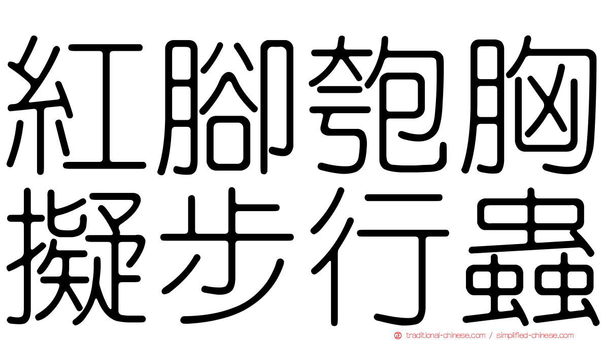 紅腳匏胸擬步行蟲