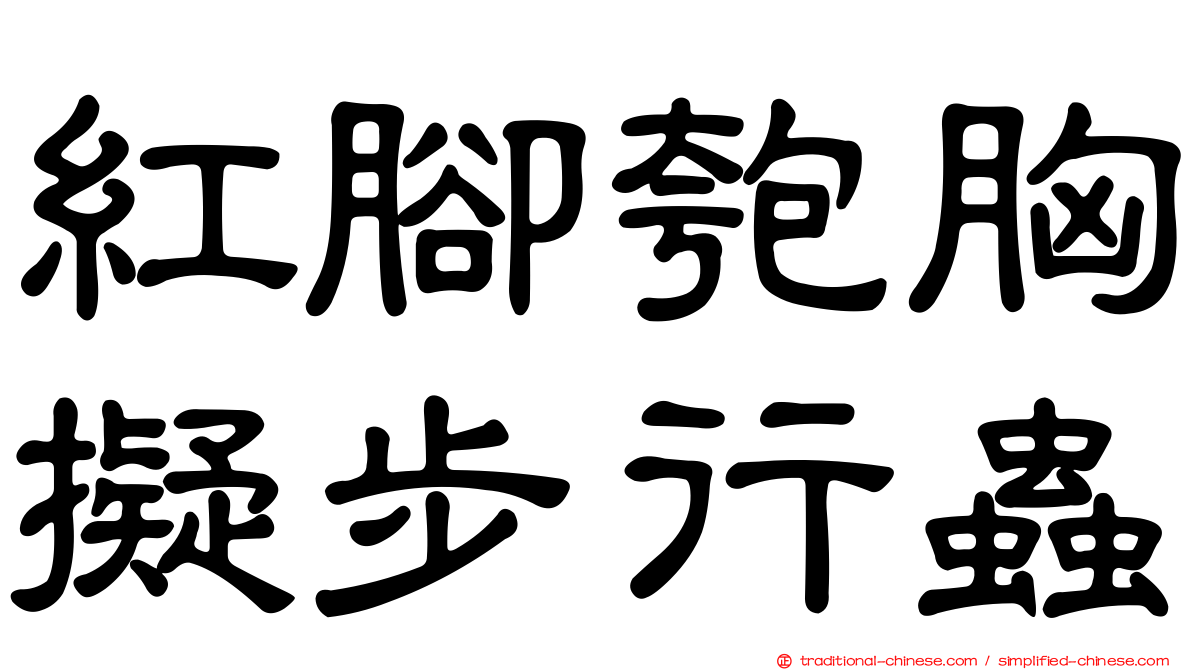 紅腳匏胸擬步行蟲