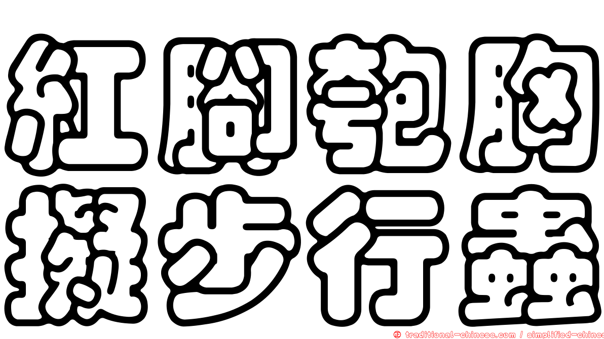 紅腳匏胸擬步行蟲