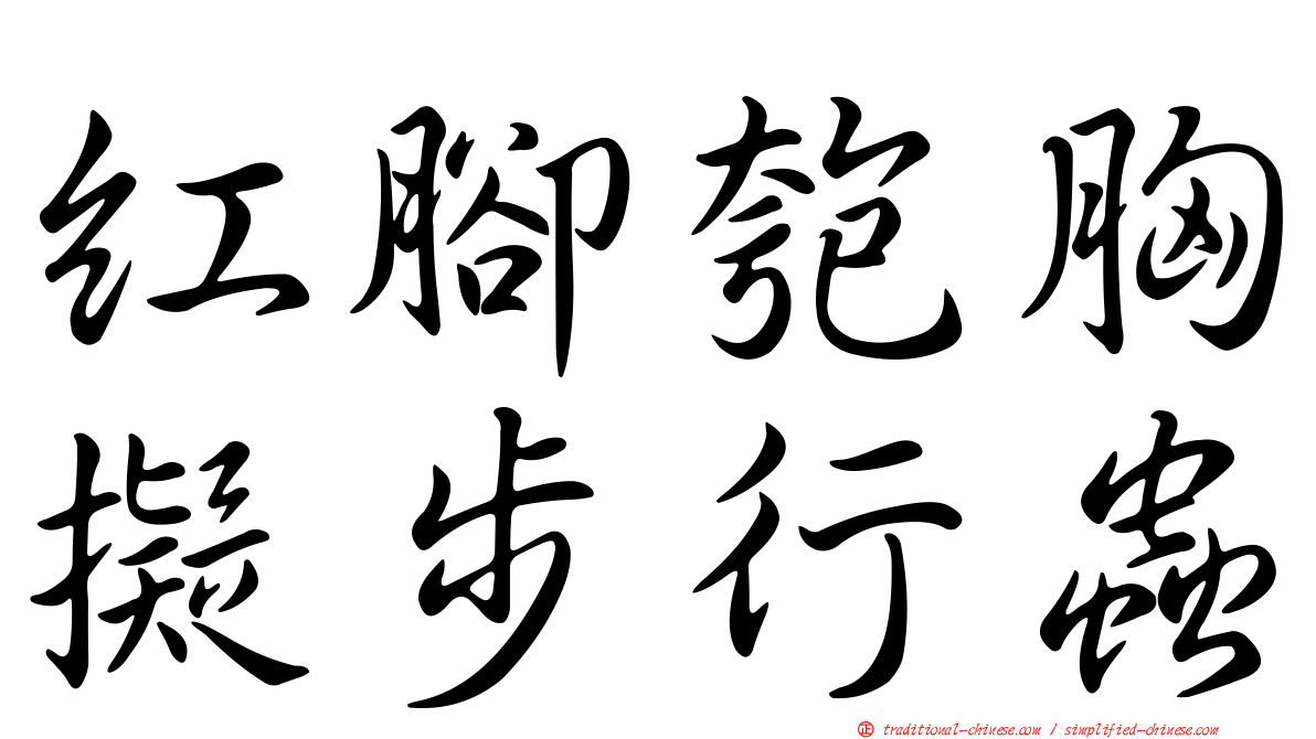 紅腳匏胸擬步行蟲