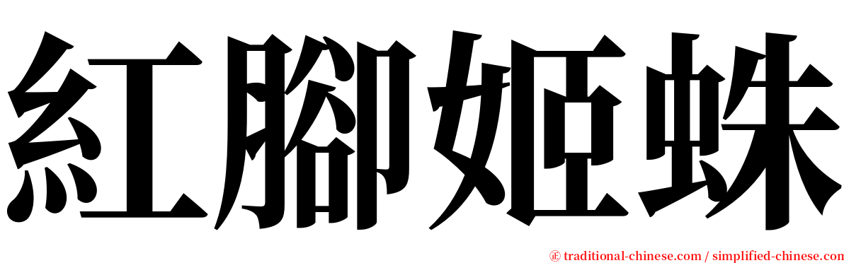 紅腳姬蛛 serif font