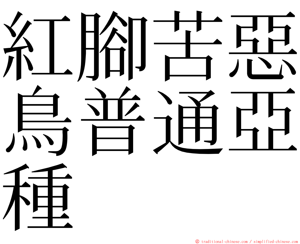 紅腳苦惡鳥普通亞種 ming font