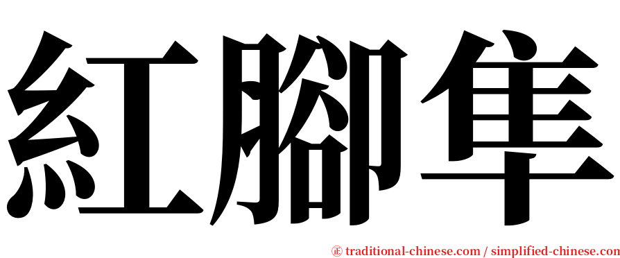 紅腳隼 serif font