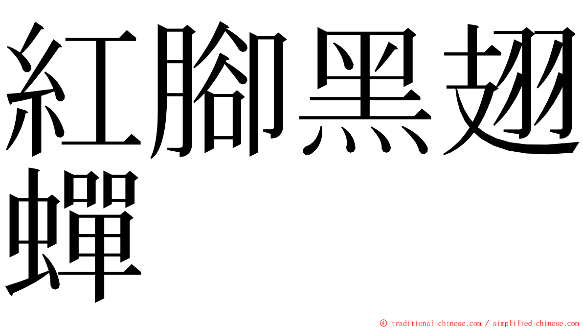 紅腳黑翅蟬 ming font