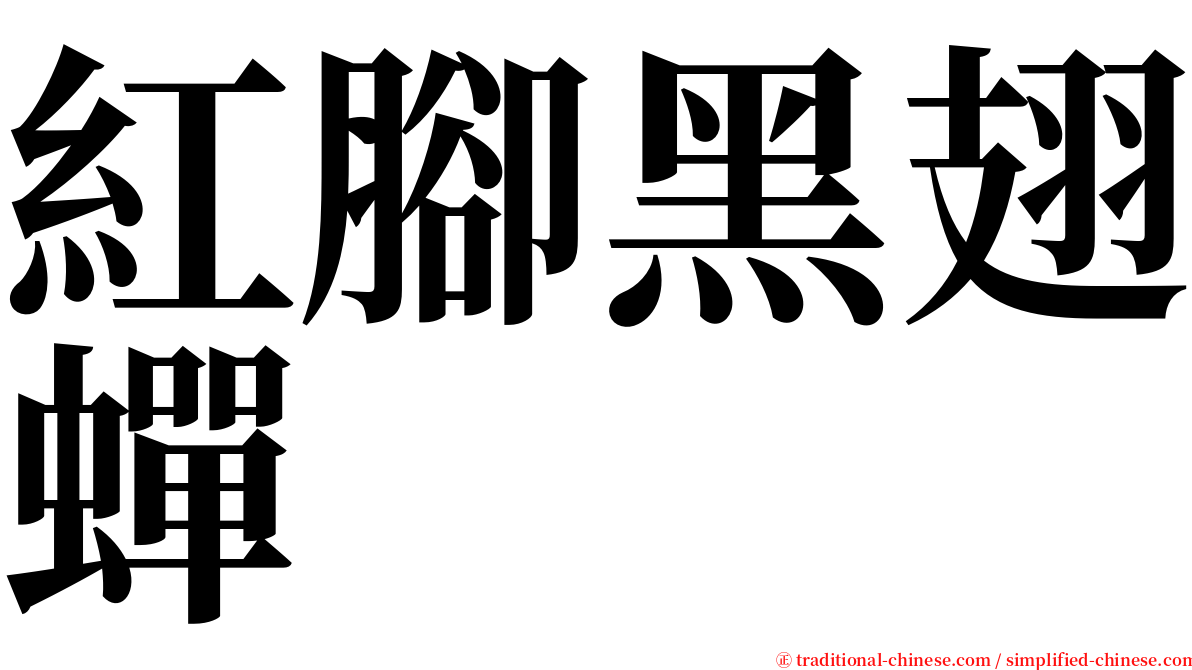 紅腳黑翅蟬 serif font