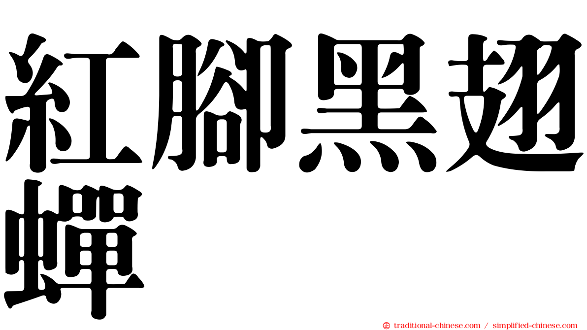 紅腳黑翅蟬