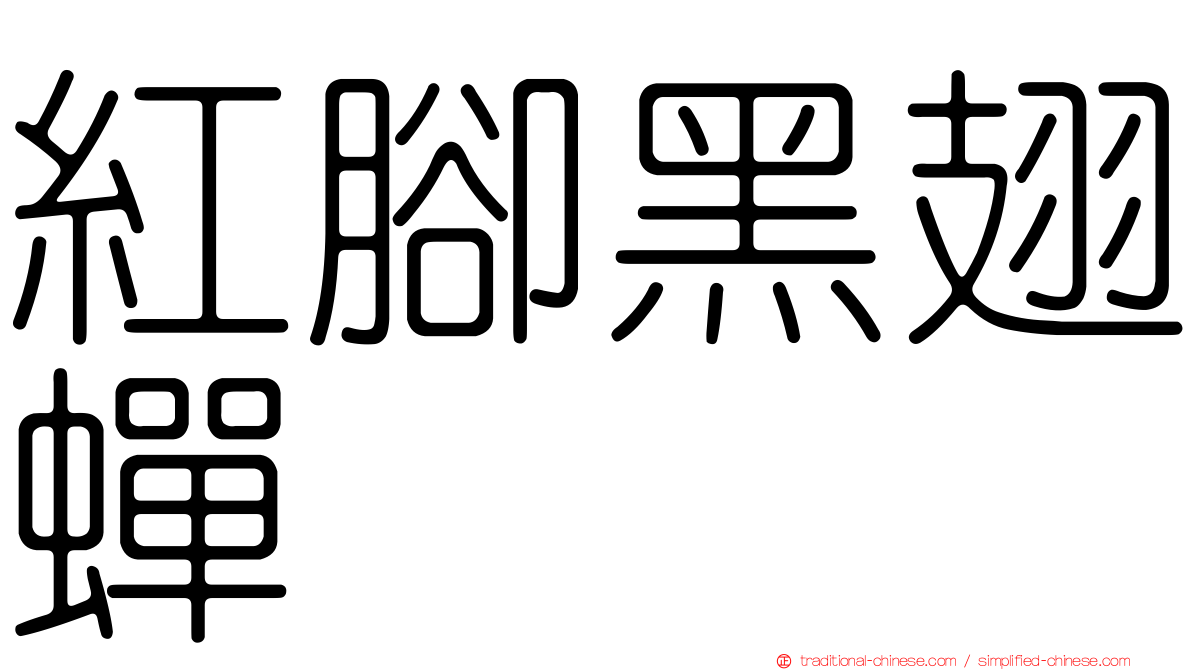 紅腳黑翅蟬