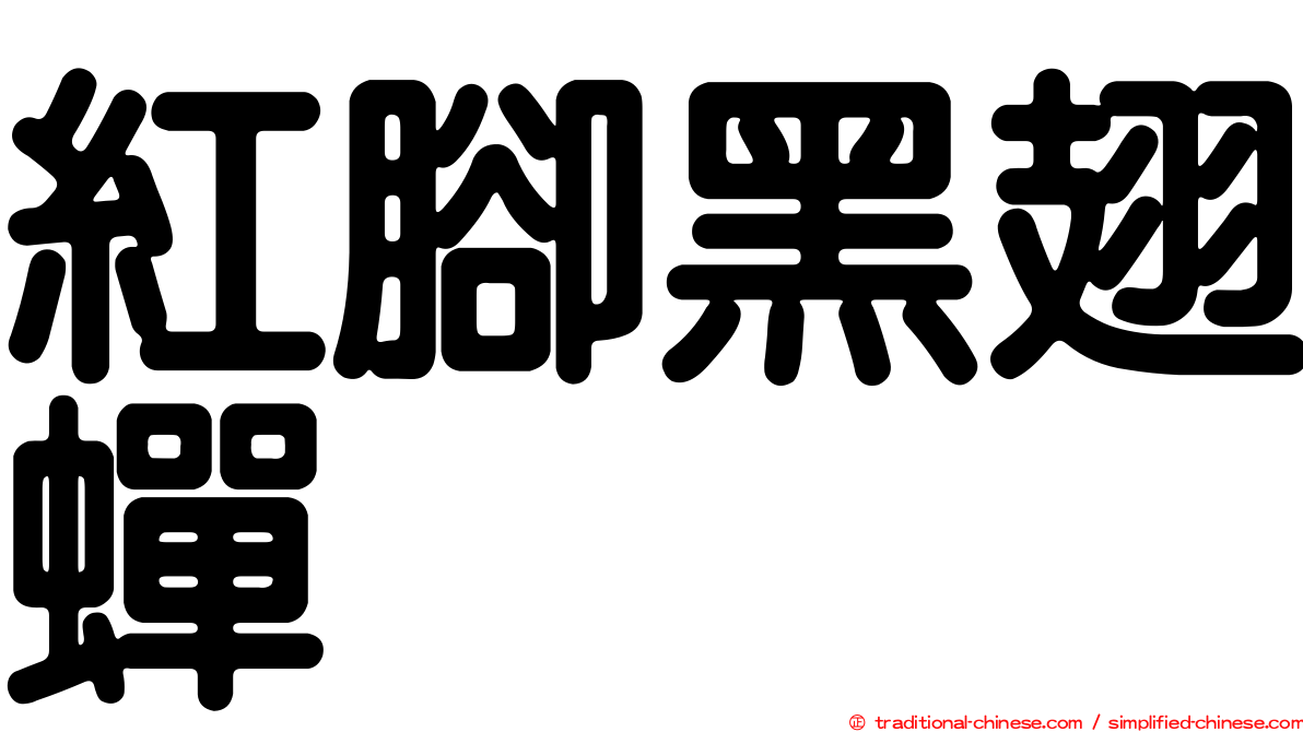 紅腳黑翅蟬