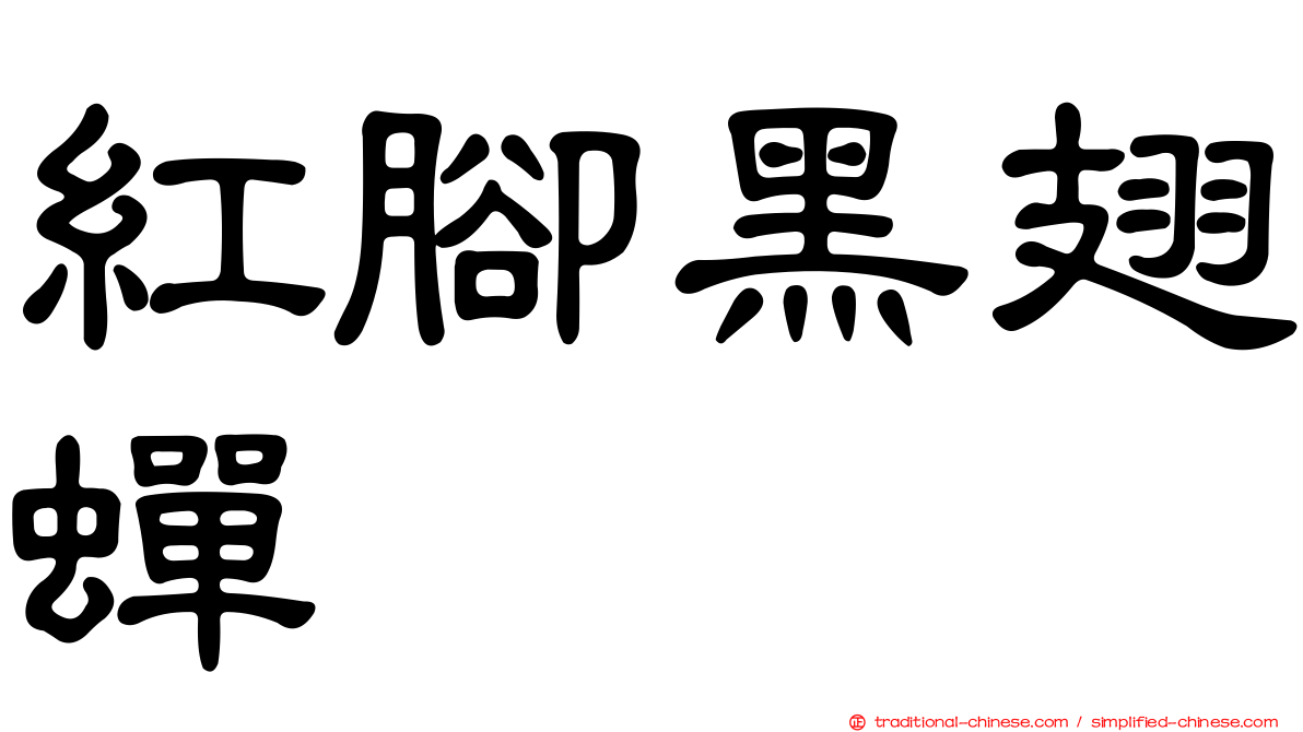 紅腳黑翅蟬
