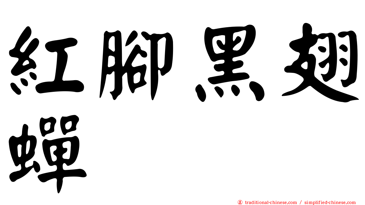 紅腳黑翅蟬