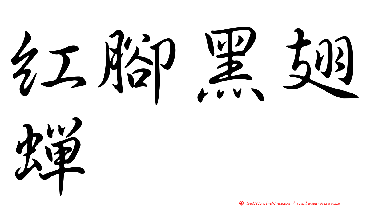 紅腳黑翅蟬