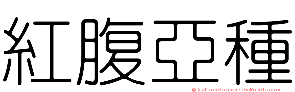 紅腹亞種