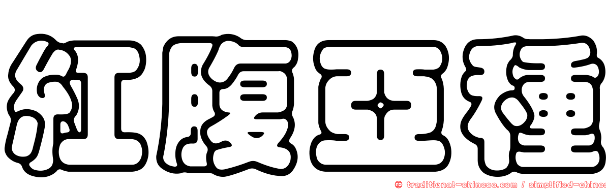 紅腹亞種