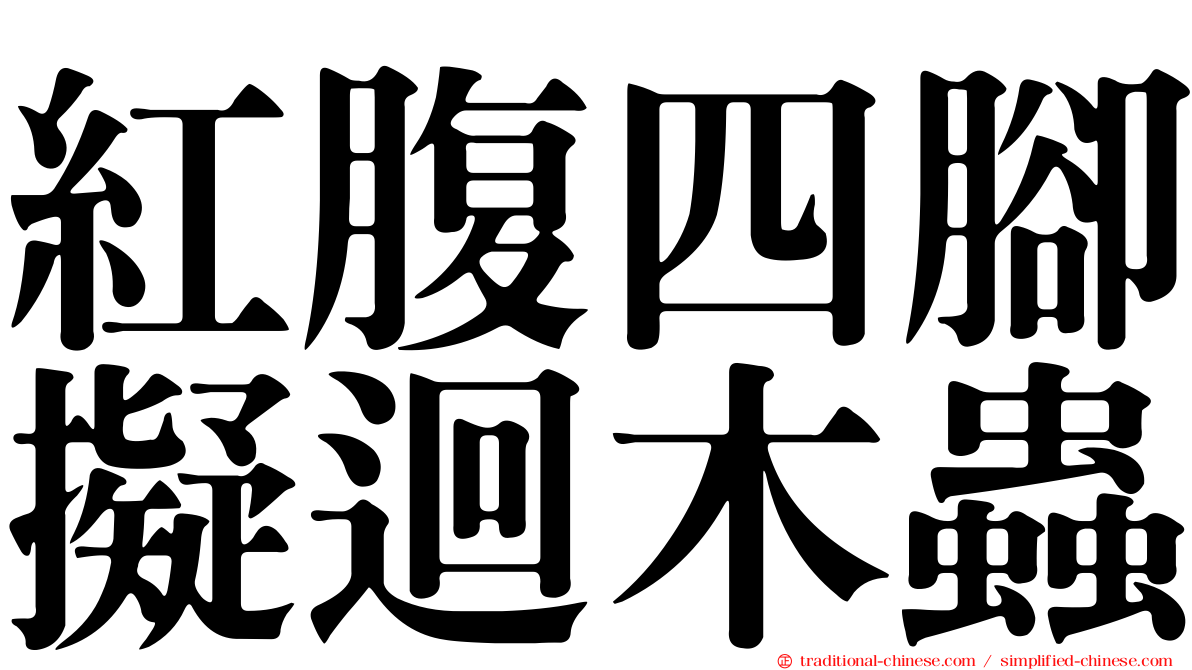 紅腹四腳擬迴木蟲