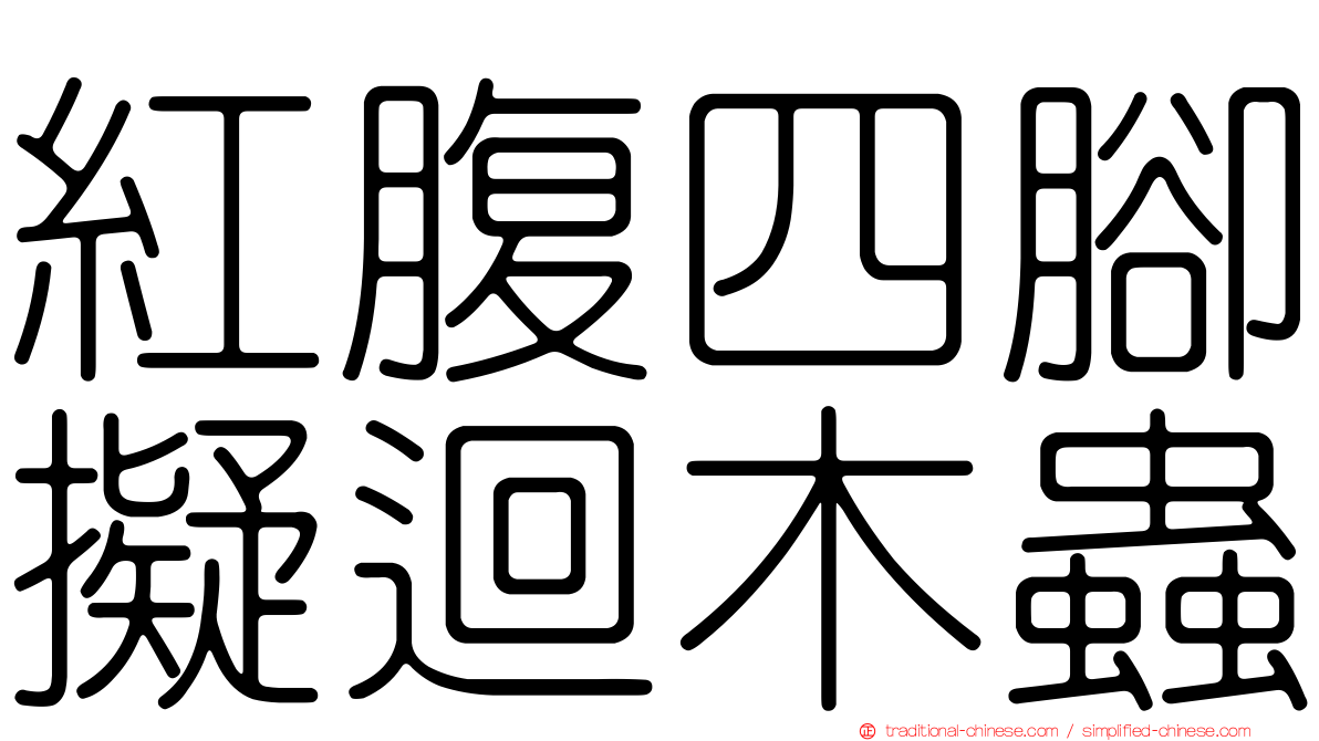 紅腹四腳擬迴木蟲