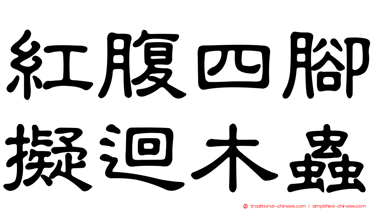 紅腹四腳擬迴木蟲