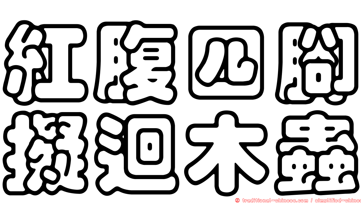 紅腹四腳擬迴木蟲
