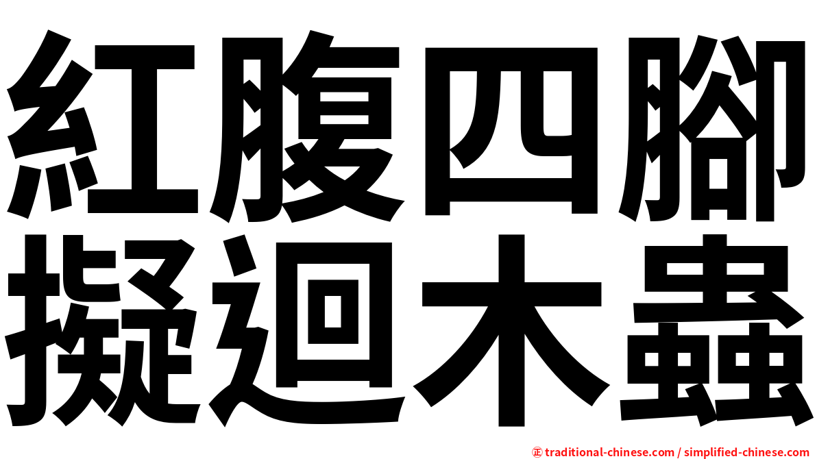 紅腹四腳擬迴木蟲