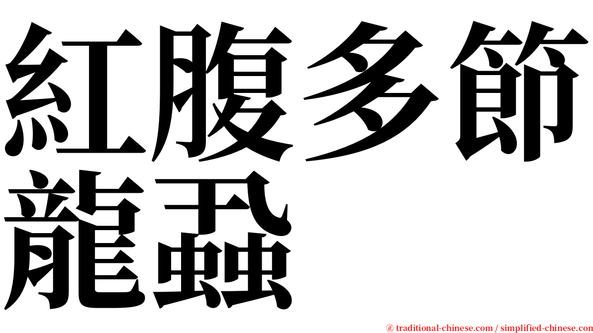 紅腹多節龍蝨 serif font