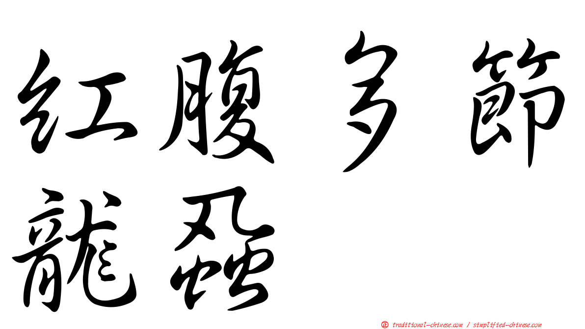 紅腹多節龍蝨