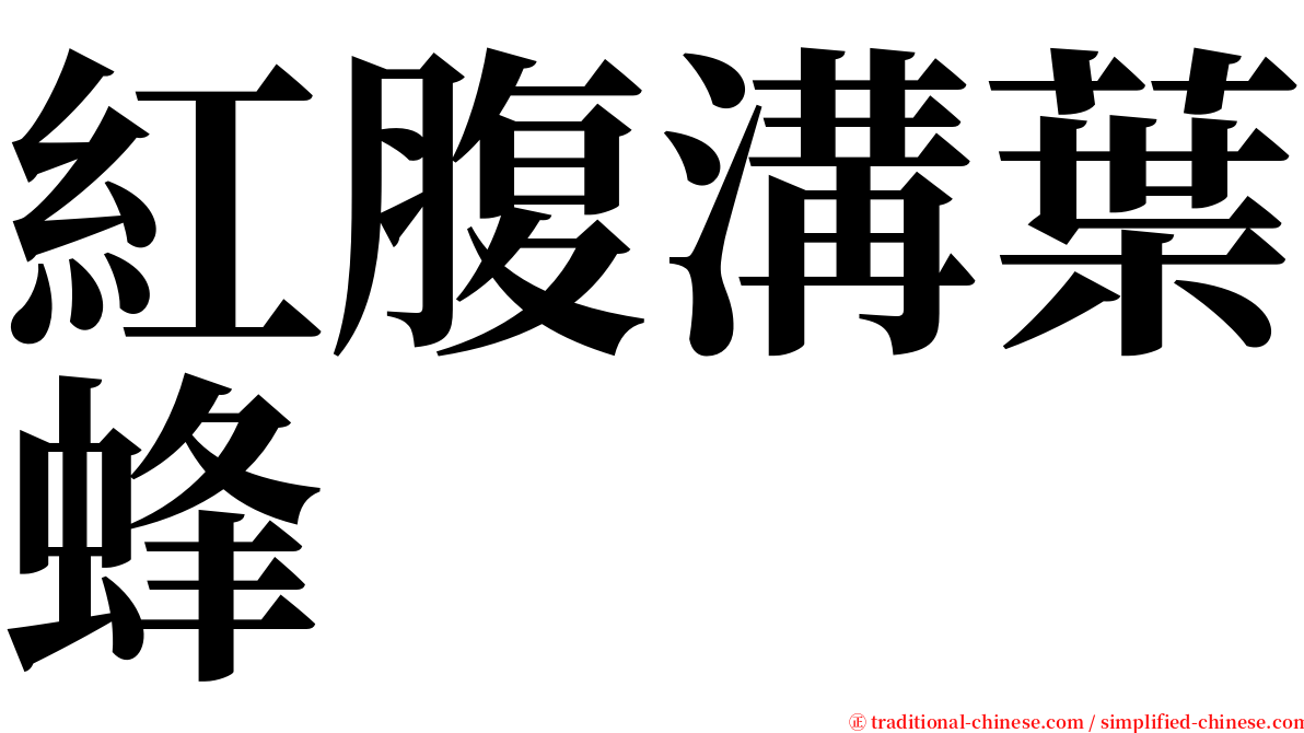 紅腹溝葉蜂 serif font