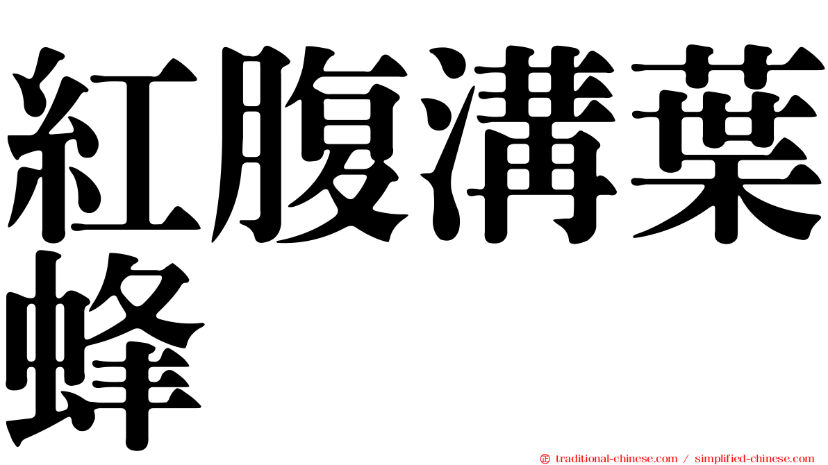 紅腹溝葉蜂