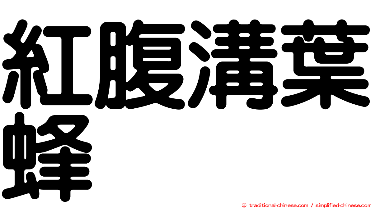 紅腹溝葉蜂
