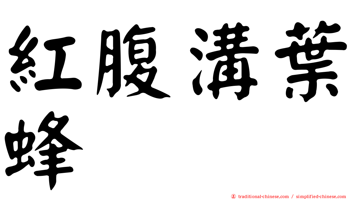 紅腹溝葉蜂
