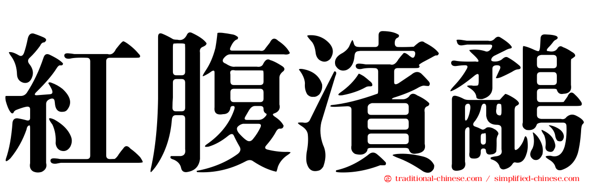 紅腹濱鷸