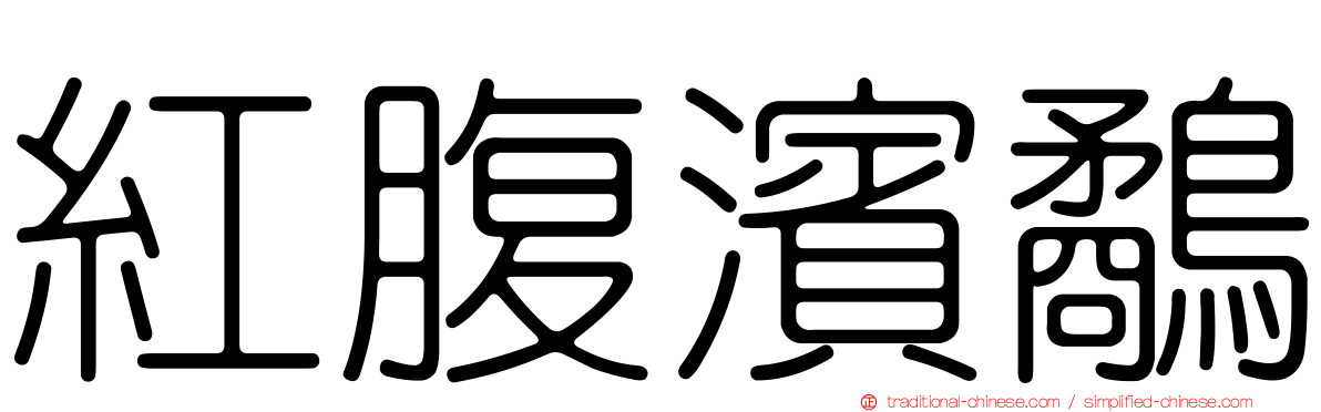 紅腹濱鷸
