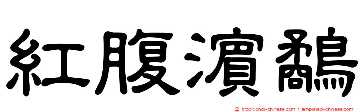 紅腹濱鷸