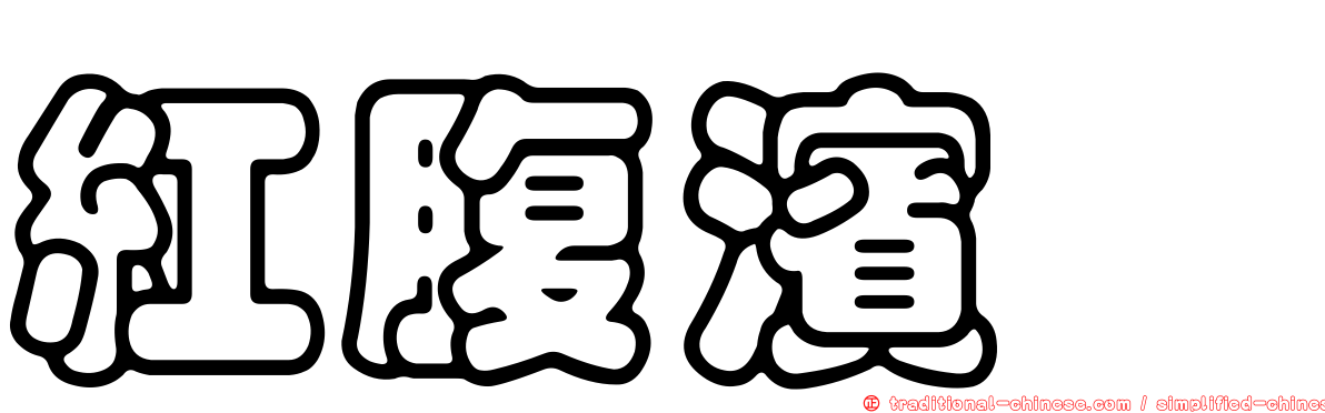 紅腹濱鷸