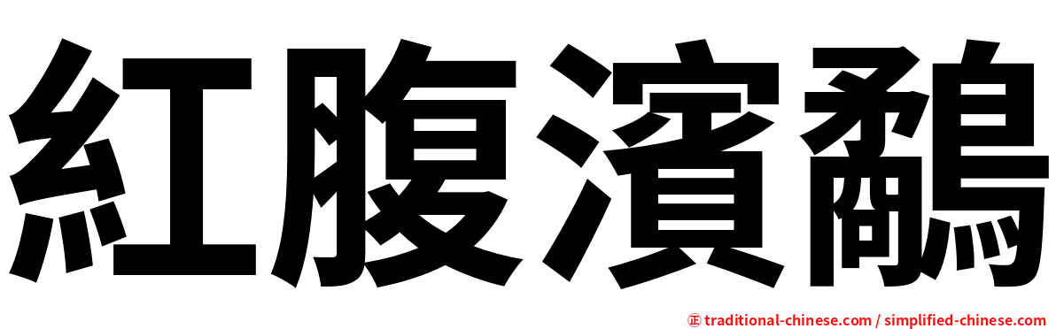 紅腹濱鷸